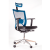 Scaune Ergonomice, Plasa Spatar, Tetiera Mesh, Albastru