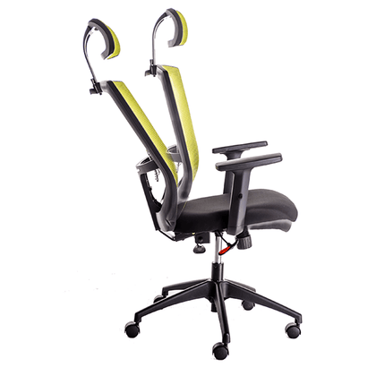 Scaun ergonomic mesh cu tetiera, Verde - CentrumScaune.ro