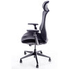 Scaunul de Birou Ergonomic sezut reglabil, suport lombar si tetiera reglabila - CentrumScaune.ro