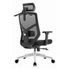 Scaun Birou Ergonomic