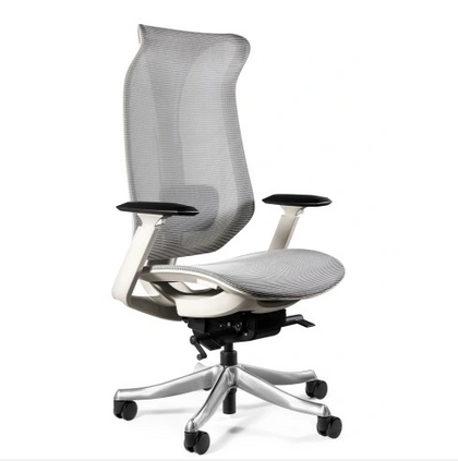 Scaun de Birou Ergonomic FOCUS gri