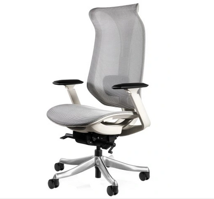 Scaun de Birou Ergonomic FOCUS gri