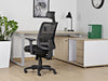 Scaune Ergonomice, full reglabile: Spatar, Sezut, Tetiera, Brate, Saga