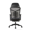 Scaun ergonomic de birou Petti cu reclinare suport pentru picioare, scaun de birou cu spate înalt, cu suport lombar, scaun reglabil pe înălțime, tetieră, spătar din plasă respirabil, pernă din spumă moale, negru
