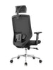 Scaune birou ergonomice mesh - Suportul lombar reglabil -brate reglabile